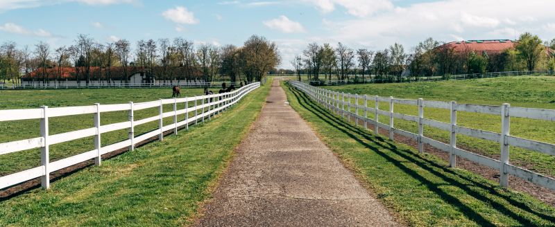 Picket Fence Painting