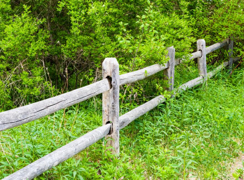 Rustic Fence Art
